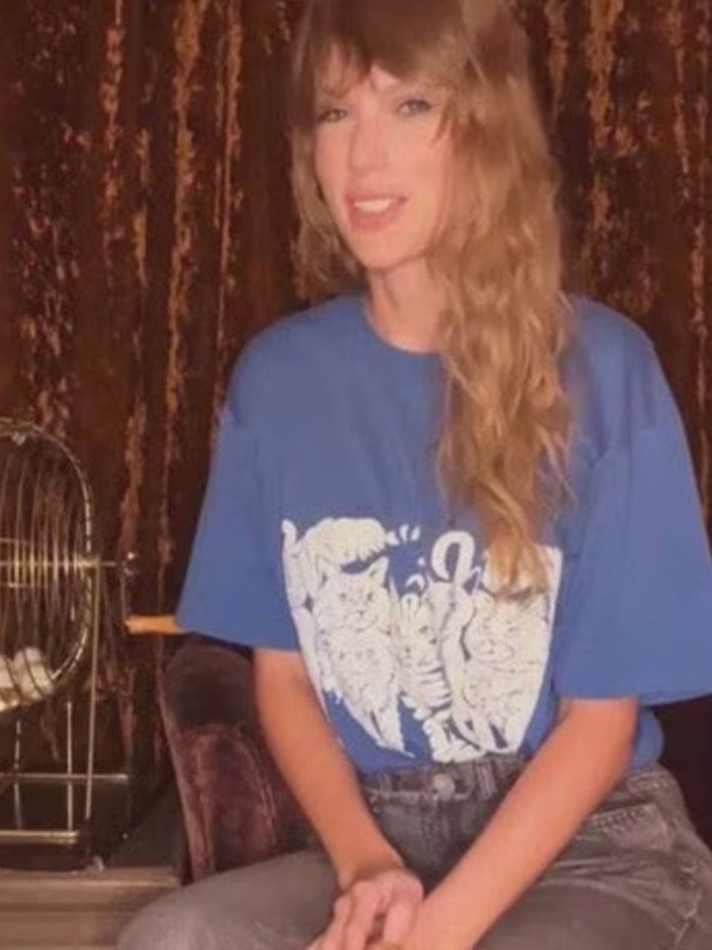 Vintage cat shirt seen on Taylor Swift!